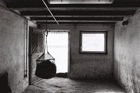 Neuhof_ I.jpg