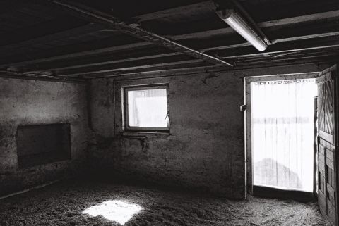 Neuhof_ II.jpg